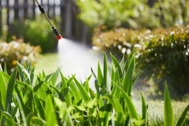 Tamper-Resistant Bait Stations for Rodents in Wyandanch