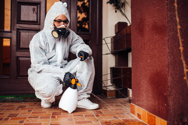 Attic and Crawl Space Rodent Treatment in Wyandanch