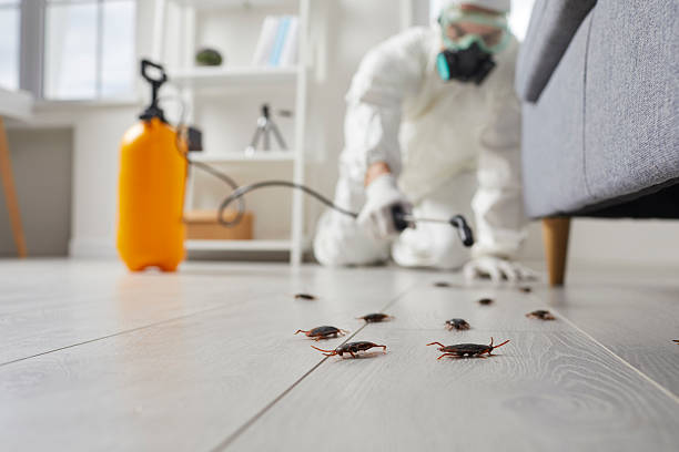 Commercial Rodent Management in Wyandanch